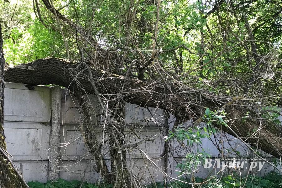 Опасный тротуар на проспекте Гагарина (ФОТО)