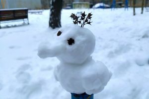 ©ВЛуки.ру