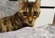 Прогноз погоды в Великих Луках на 20 декабря