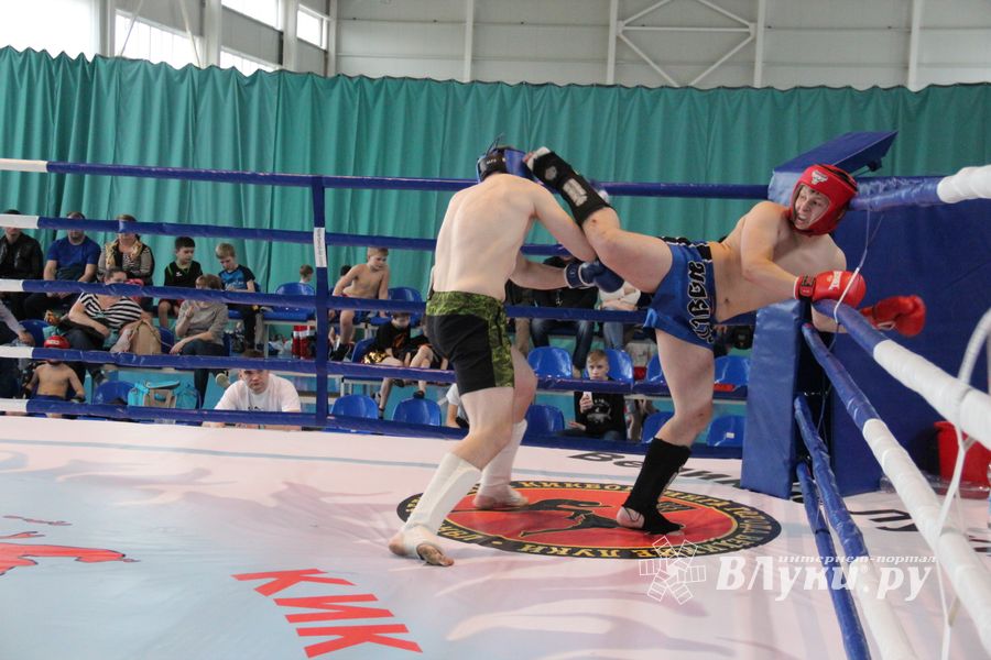 В Великих Луках прошел Кубок области по кикбоксингу (ФОТО)