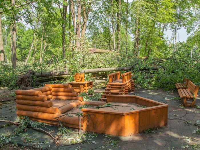 Небезразличные великолучане помогают убрать город после урагана (ФОТО)