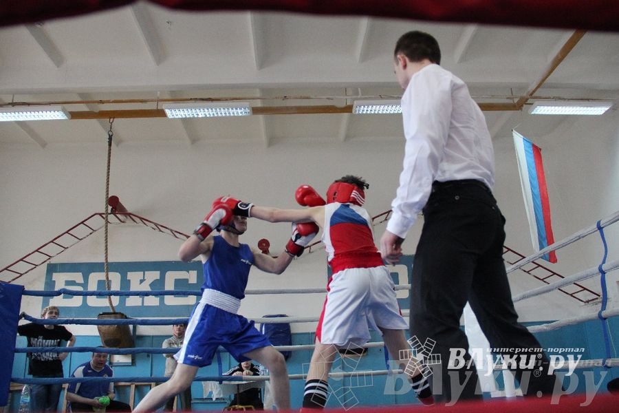 Открытое Первенство города по боксу