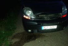 Под Великими Луками водитель сбил косулю (ФОТО)