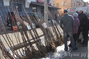 Универсальная торговая ярмарка «Весна-2015» прошла в Великих Луках (фото)