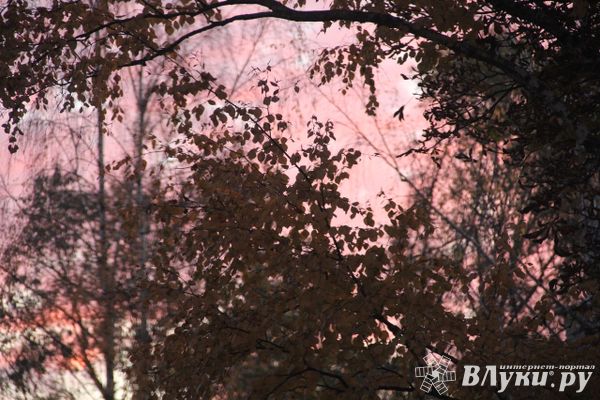 Сегодня в Великих Луках будет пасмурно и дождливо