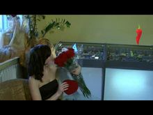 Перец-Рапид: Новинки в салоне «Золотая рыбка»