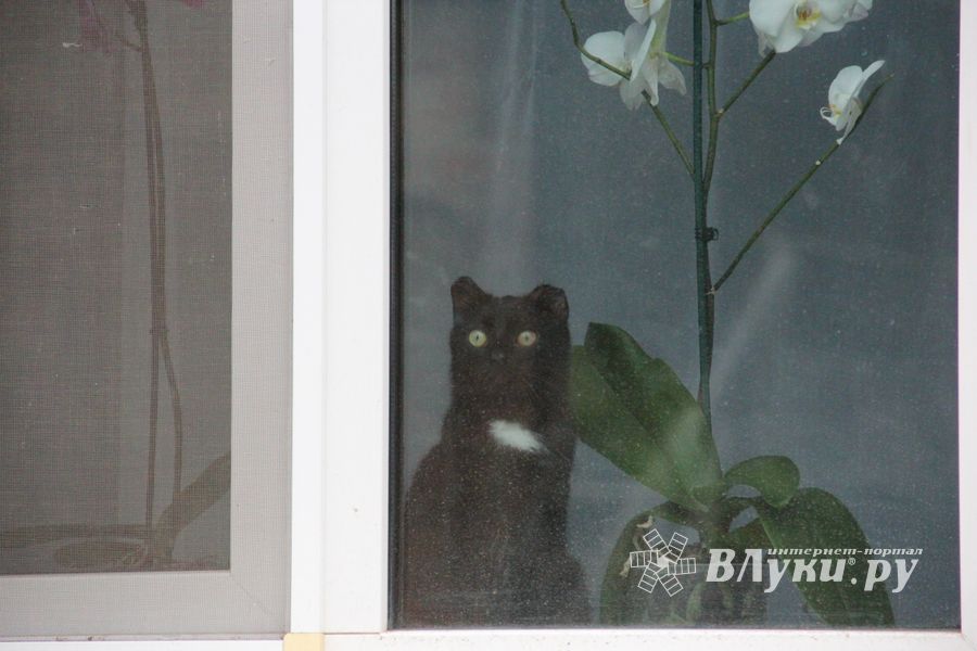 Ремонт прошел, а что осталось? (ФОТО)