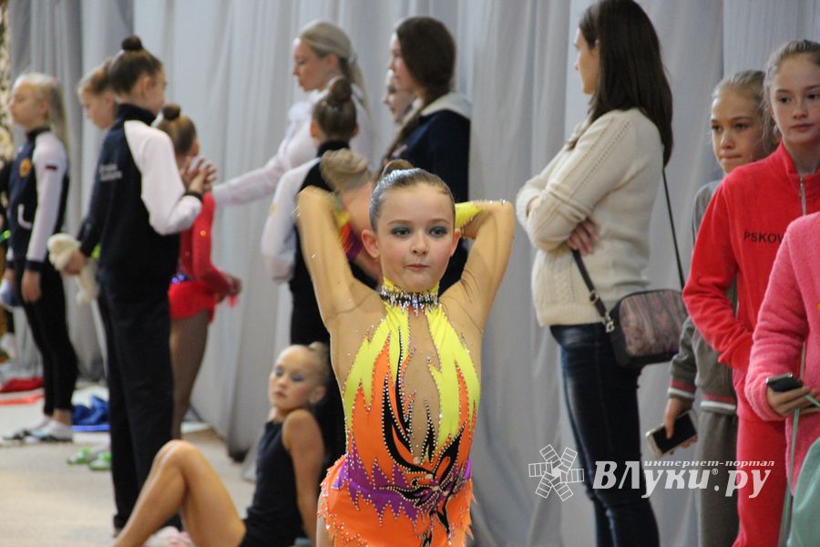 Великолучане стали призерами открытого турнира по художественной гимнастике (ФОТО)