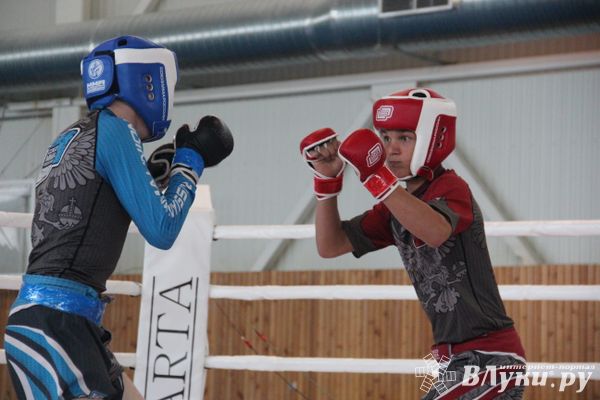 В Великих Луках завершилось Первенство России среди юношей по смешанному боевому единоборству ММА (ФОТО)