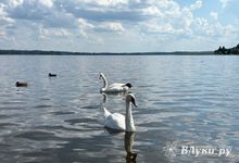 Прогноз погоды на 5 августа в Великих Луках