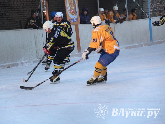 Великолукские хоккеисты разгромили гостей (фото)