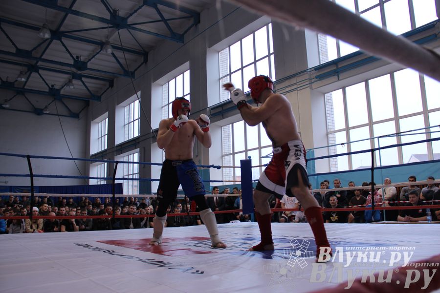 Открытый Кубок города Великие Луки по смешанному боевому единоборству (ММА)