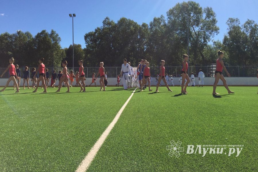 Спортивно-массовые мероприятия в честь Дня города (ФОТО)