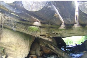 Жители Великолукского района жалуются на отсутствие дороги и смертельно опасное «направление» (ФОТО)