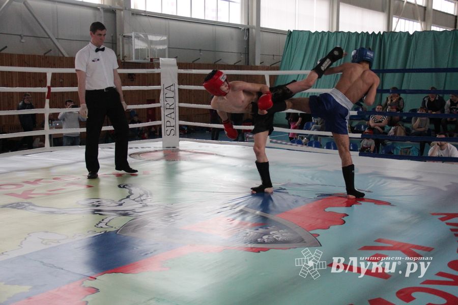 В Великих Луках прошел Кубок области по кикбоксингу (ФОТО)