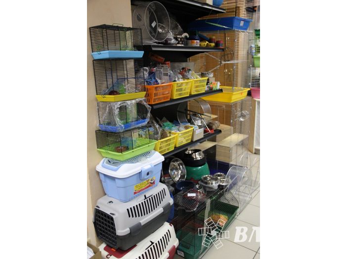 «Zooбастики»: подарите праздник своим любимцам! (ФОТО+ВИДЕО)