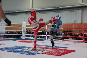 Открытый кубок по смешанному боевому единоборству ММА прошел в Великих Луках (ФОТО)