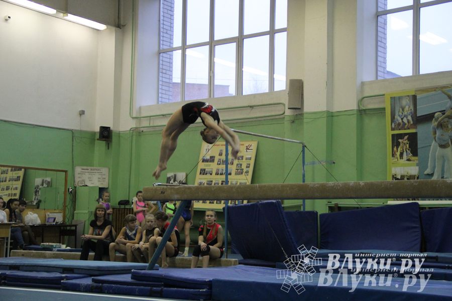 В Великих Луках состоялось Первенство города по спортивной гимнастике (фото)