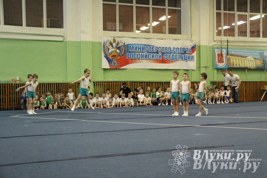 В Великих Луках состоялось Первенство по командной гимнастике (фото)