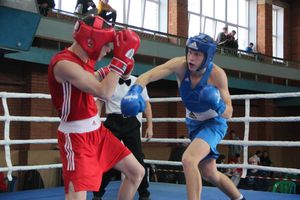 В Великих Луках прошел турнир по боксу памяти Е. Клевцова (ФОТО)