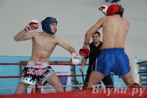 Чемпионат Псковской области по ММА