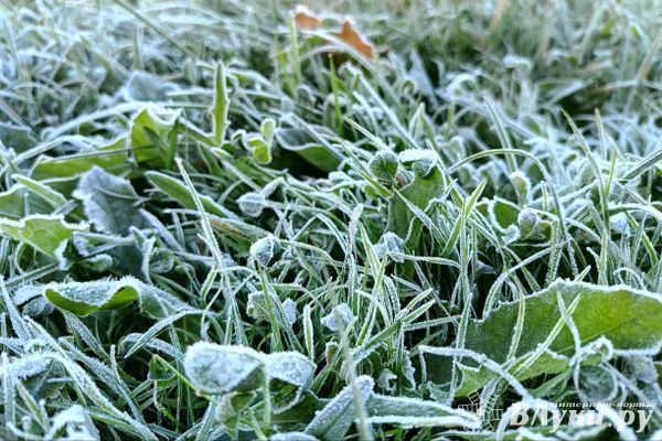 Сегодня великолучанам обещают облачный день