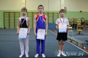 В Великих Луках состоялось  Первенство города по спортивной гимнастике (фото)