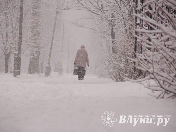 В Великих Луках снегопад и «день жестянщика» (фото)