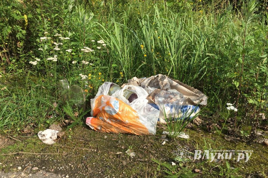 На обочину трассы Булынино-Невель выбрасывают даже автомобили (ФОТО)