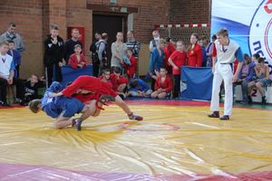 Фестиваль боевых искусств прошел в Великих Луках (ФОТО)