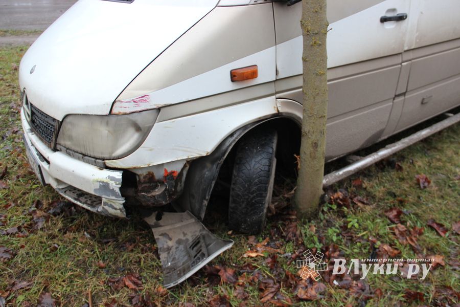 На улице Пушкина водитель врезался в дерево (ФОТО)