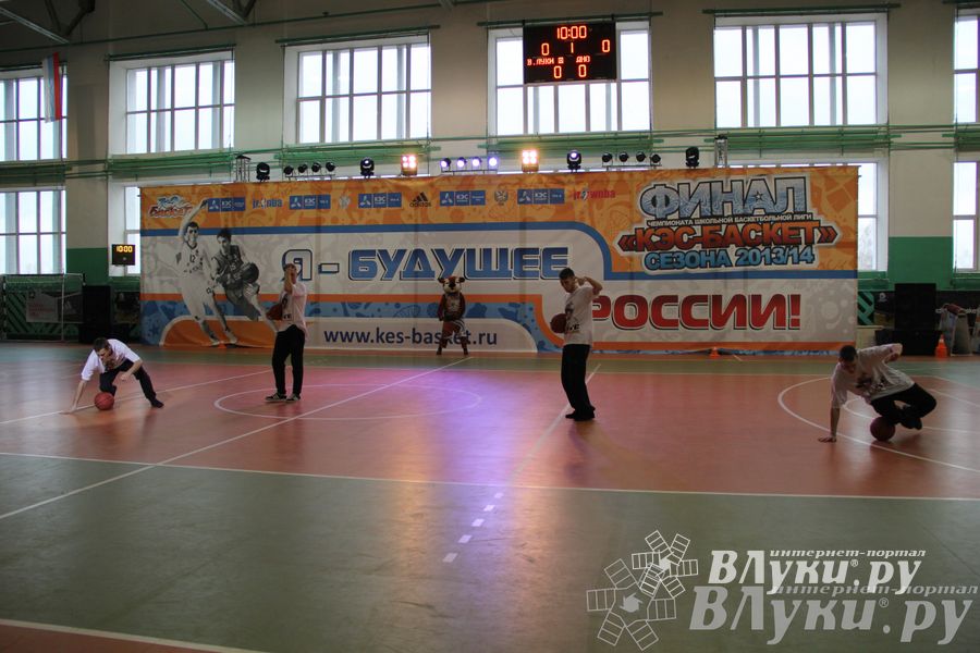 Чемпионат ШБЛ «КЭС-БАСКЕТ» сезона 2013-2014 гг. Псковской области