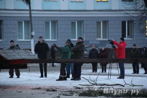 В Великих Луках установили новогоднюю елку (фото)