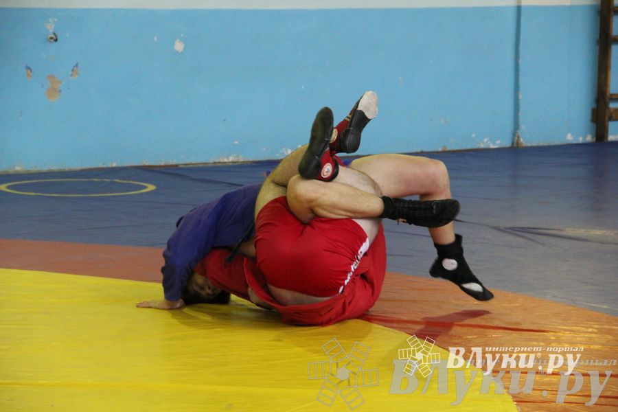 Всероссийский турнир по самбо