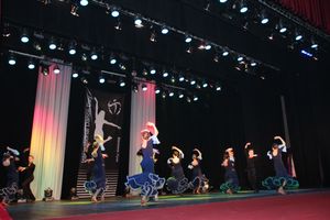 В Великих Луках прошел Фестиваль танца (ФОТО)