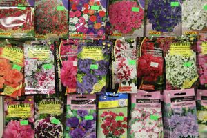 В ДК ЛК открылась 7-я Великолукская универсальная выставка (ФОТО, ВИДЕО)