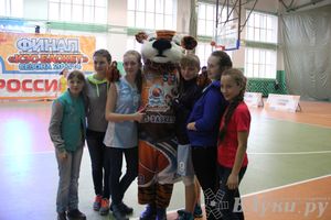 Чемпионат ШБЛ «КЭС-БАСКЕТ» сезона 2013-2014 гг.  Псковской области