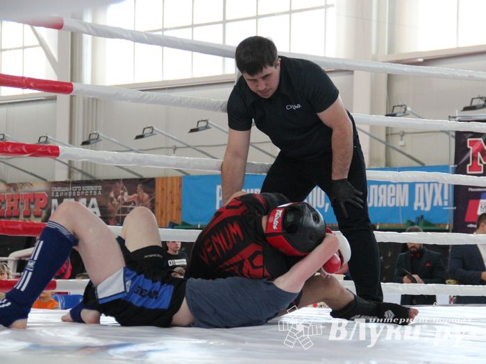 В Великих Луках завершился открытый кубок по смешанному боевому единоборству ММА (ФОТО)