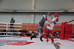 Открытый кубок по смешанному боевому единоборству ММА прошел в Великих Луках (ФОТО)