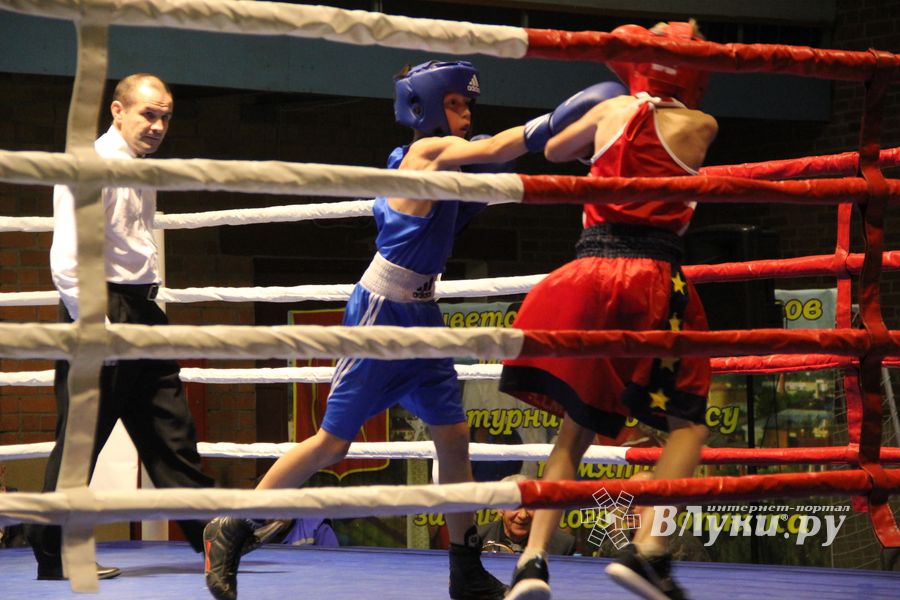 В Великих Луках проходят соревнования по боксу памяти Е.А. Клевцова (фоторепортаж)