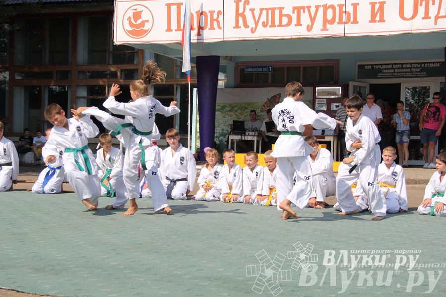 В Великих Луках отметили День физкультурника