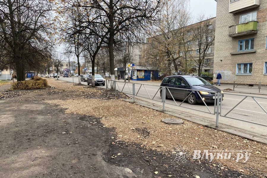 Пешеходам-великолучанам советуют не пользоваться смартфонами (ФОТО)