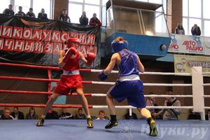 16-й Международный турнир по боксу (фото)