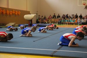 Парад гимнастики