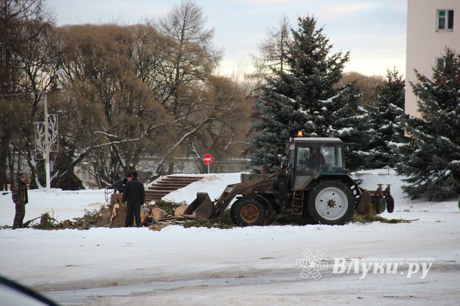 Главная городская ёлка отправилась на свалку (ФОТО)