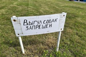 ©ВЛуки.ру