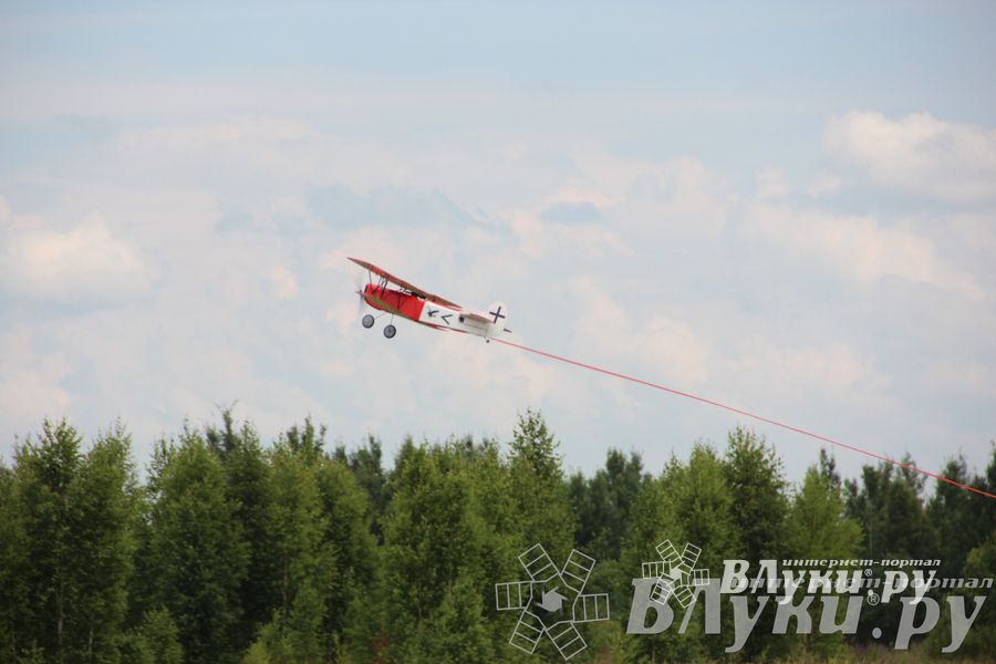 В Великих Луках прошли воздушные бои (фото)