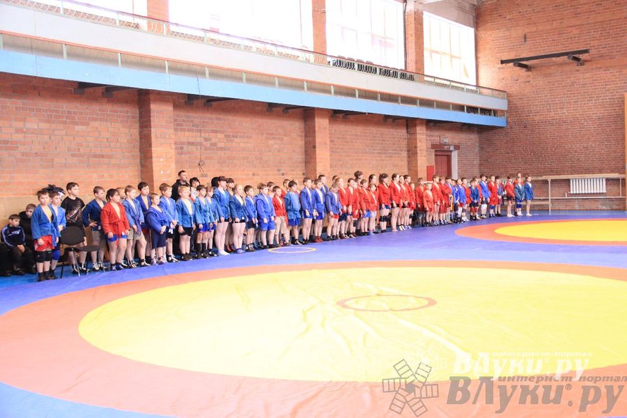 состоялось Открытое первенство города Великие Луки по борьбе самбо