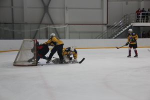 «Экспресс» с разгромным счетом обыграл «Родину» (ФОТО)