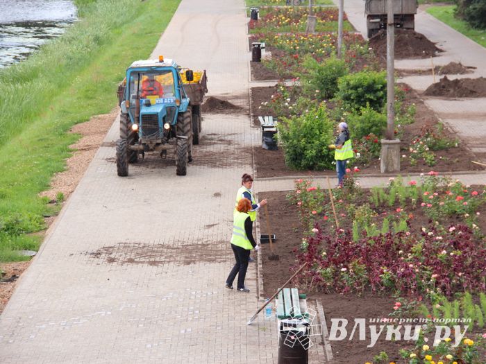 В Великих Луках сажают, стригут и красят (ФОТО)